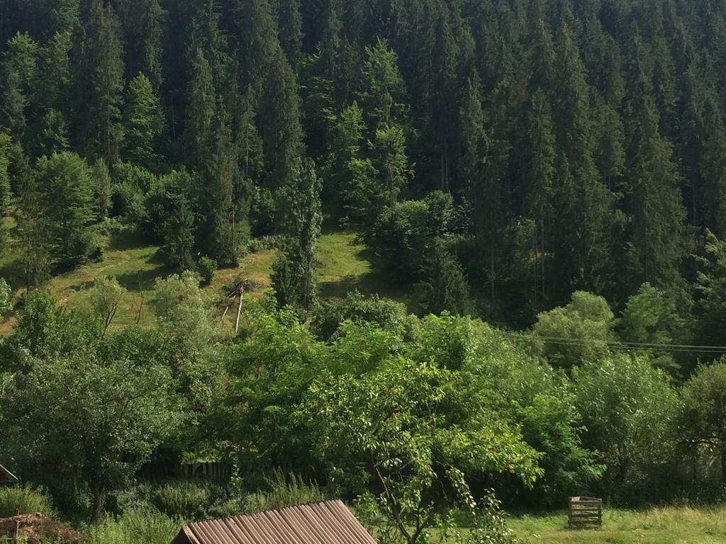 Casa De Vacanta Joldes Hotel Gîrda de Sus Værelse billede